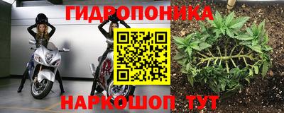 скорость Будённовск