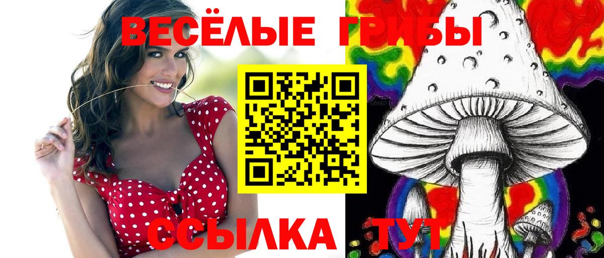 Смоленск  где купить   Вход с VPN  Псилоцибиновые грибы Psilocybe 